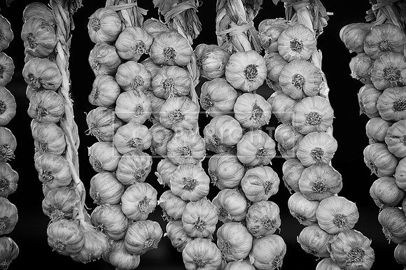 NOP_6474 BW