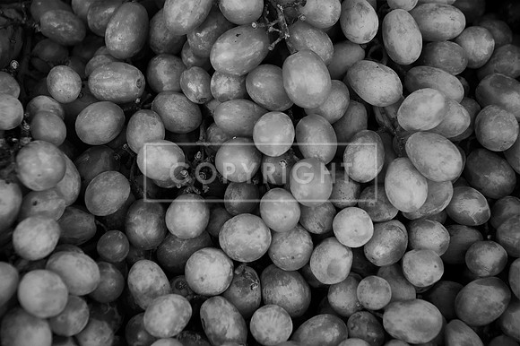 NOP_6487 BW