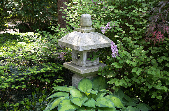 AJP_4577 A